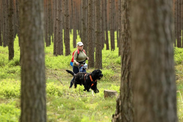 Puchar Polski w Dogtrekkingu 2025