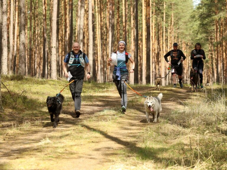 Read more about the article Komunikat przedstartowy – Lubliniec 2025