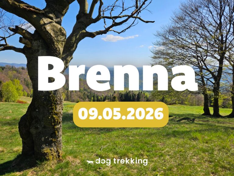 Read more about the article Brenna – nowość na dogtrekkingowej mapie