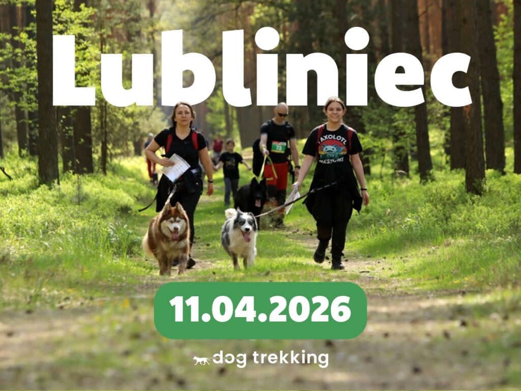Lubliniec 2026
