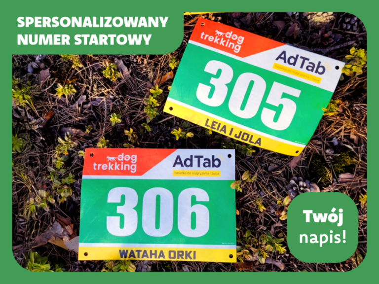 Read more about the article Spersonalizowane numery startowe