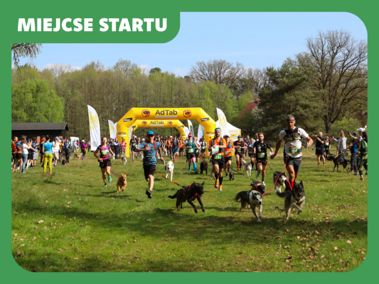 Read more about the article Miejsce startu w Lublińcu